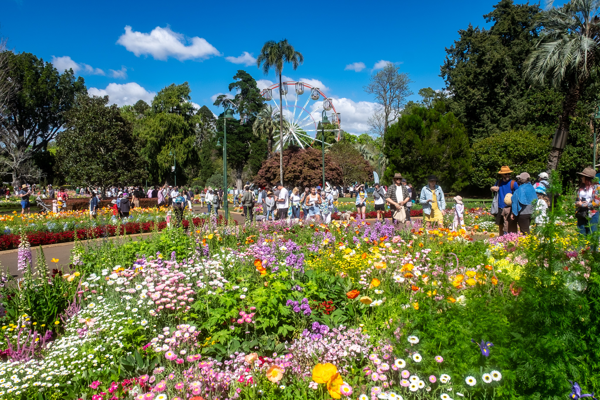 Toowoomba Carnival of Flowers